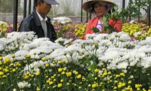 Lâm Đồng sau một năm thực hiện nghị quyết Đại hội Đảng bộ tỉnh